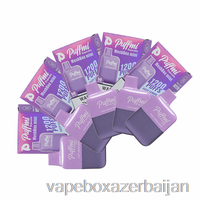 E-Juice Vape [10-Pack] Puffmi MeshBox Mini 1200 Disposable